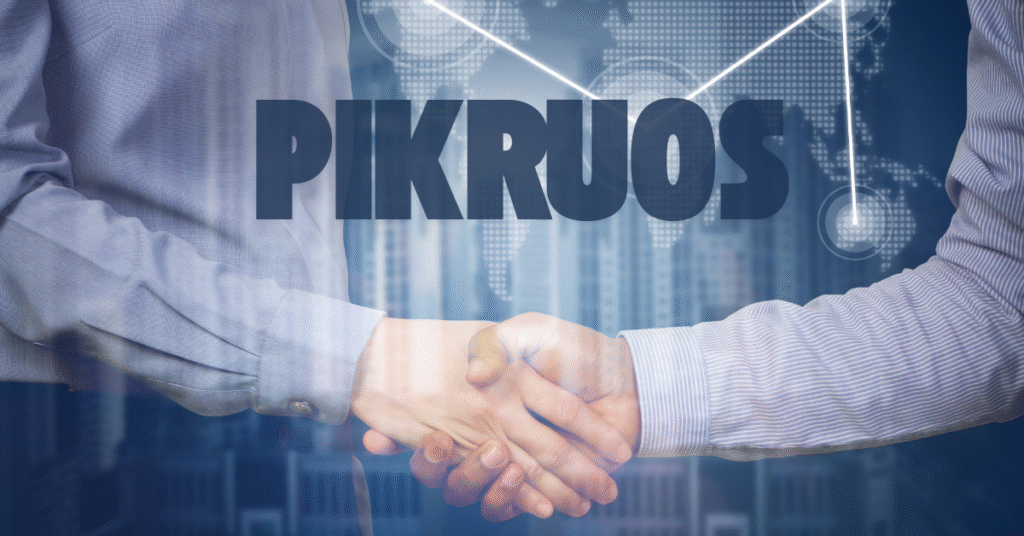 Pikruos Business Assistant: Empowering Small Businesses Pikruos 3