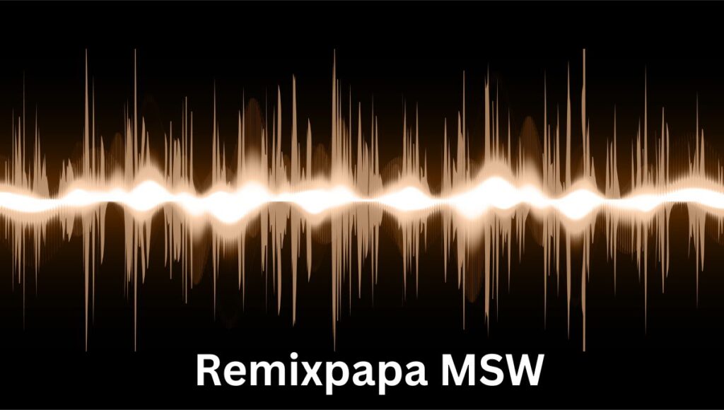 Remixpapa MSW: Empowering Remix Culture with Joy & Precision Remixpapa MSW