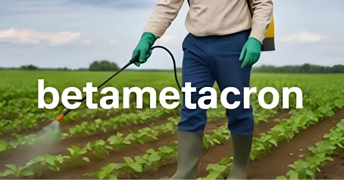 Betametacron – Uses, Benefits, Mechanism, and Safety Guide Betametacron