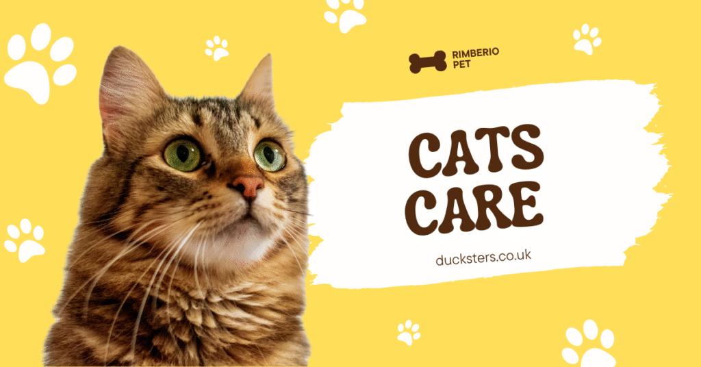 cat sneezing a lot: What’s Going On (and What You Should Do) cat sneezing a lo